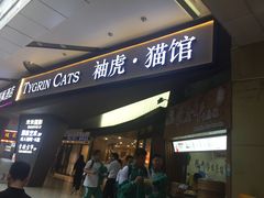 -袖虎·猫馆(体育西路店)