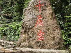 -碧峰峡风景区