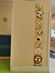 -杭州贝瑞斯美华妇儿医院·早孕·产检·儿科