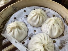 -莱莱小笼·乔艾