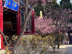 -大慈恩寺(大雁塔)