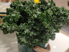 羽衣甘蓝-十二春顶级锅物(泉亮花园店)