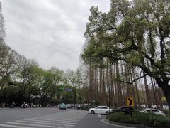 -杭州少年儿童公园