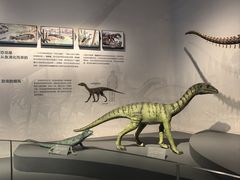 -自贡恐龙博物馆