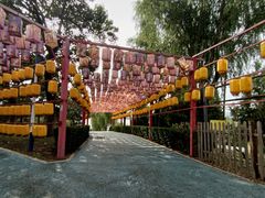 -青龙湖公园