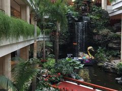-白天鹅宾馆·流浮阁咖啡厅