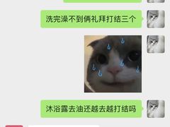 -爱洗澡的猫(望京店)