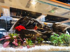 -红辣椒·川菜·火锅(大洋中心店)