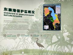 -东寨港红树林旅游区