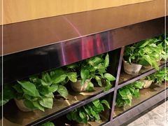 -院8里·小乐园家常味川菜(鹭洲里店)