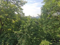 -大泽山风景名胜区