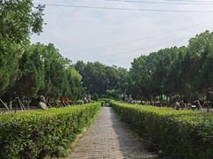 -邓愈墓