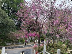 -柳侯公园