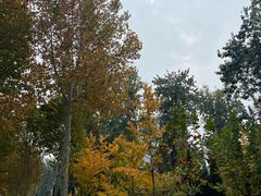 -山东大学(洪家楼校区)