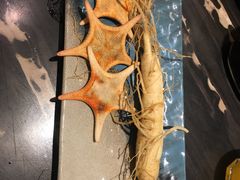 -千岛蚝高压锅生蚝·人参火锅(白云万达店)