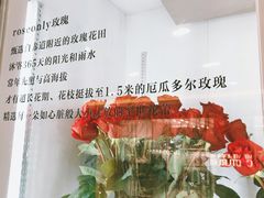 -ROSEONLY诺誓(国际广场购物中心店)
