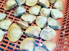 -巽寮印象美食部落餐厅·海鲜·地方特色菜(惠州体验店)