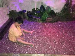 -水晶之星洗浴温泉汗蒸