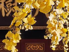 -古大圣慈寺
