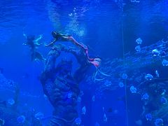 -波塞冬海底世界