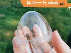 -贵州省植物园