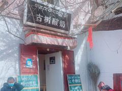 -古树酸奶(八廓南街店)