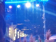 -淀里船宴(卓达店)