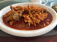 -宏宴·新京菜(望京店)