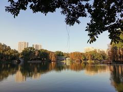 -荔湾湖公园