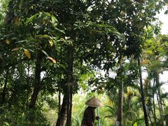 -三亚珠江南田温泉度假区