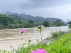 -古堰画乡景区