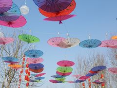 -三圣花乡旅游区