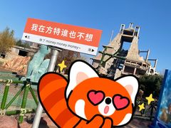 -青岛方特梦幻王国