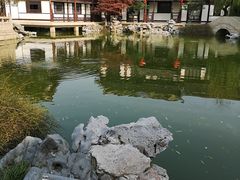 -常熟方塔园
