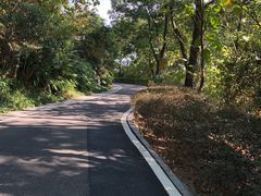 -玉树公园