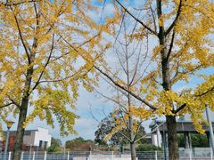 -上海山野camping·户外天幕烧烤·团建拓展营地