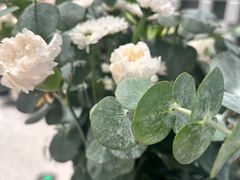 -向川南·水煮鱼·川菜(和平里店)