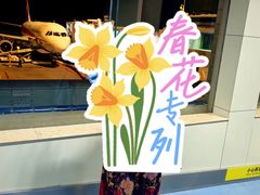 -丽江三义国际机场
