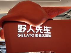 -野人先生现做冰淇淋(北京王府井东方新天地店)