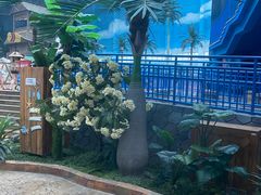 -青岛东方影都融创水世界