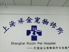 -睿金宠物医院·CT·肿瘤·骨外科