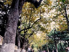-八大关景区