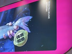 -老板恋上鱼(高新万达店)