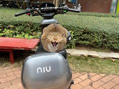 -四海公园(南山区)