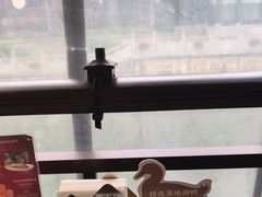 -小厨娘金榜题名(夫子庙秦淮河店)