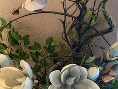 -新雅(丰盛里店)