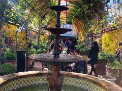 -The Grounds of Alexandria