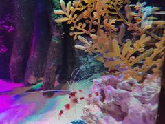 -沈阳海洋探索中心