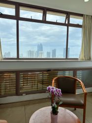 -厦门市妇幼保健院(总院区)