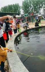 -上美四季动物农场